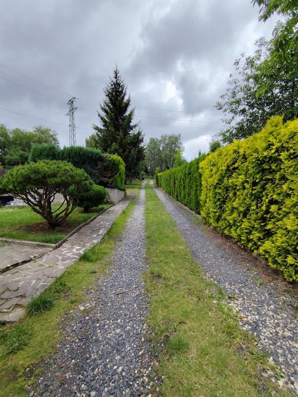 Apartman Terezka Jílové Kültér fotó