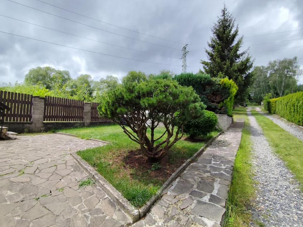Apartman Terezka Jílové Kültér fotó
